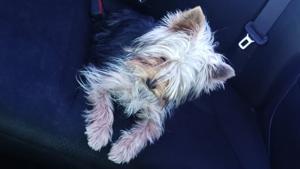 Relacionada 592055673_949044367712084_8581571570580740206_n.jpg