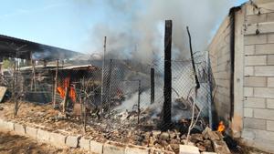 Relacionada 4f6f2088-8bd0-48ef-b67a-2d0d6957bff8.jpg