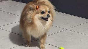 Relacionada 659638480_1973829833341286_7306774631567357192_n.jpg