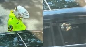 Relacionada download-2026-03-30t134158170.jpg