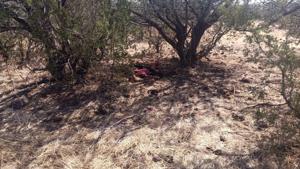 Relacionada osamenta-tiempo.jpg