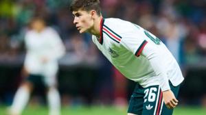 Relacionada hormiga.jpg