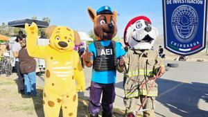 Relacionada whatsapp-image-2026-03-30-at-44616-pm.jpg