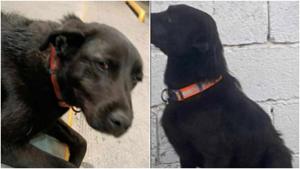 Relacionada fotojet.jpg