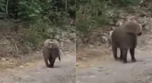 Relacionada download-2026-03-31t105430798.jpg