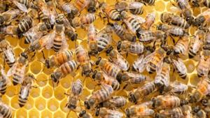 Thumb dcji4hsvmaao5cv