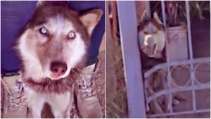 Relacionada fotojet-6.jpg