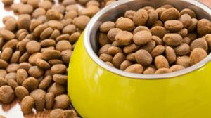 Relacionada croquetas.jpg