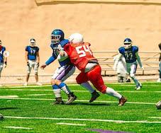 Relacionada castores-a-ing.jpg