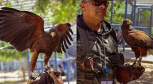 Relacionada descarga-33.jpg