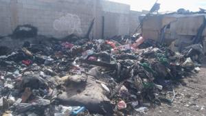 Relacionada img-20260401-wa01312.jpg