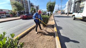 Relacionada limpieza.jpg