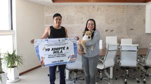 Relacionada perros.jpg