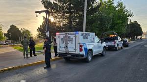 Relacionada platanito-tiempo.jpg