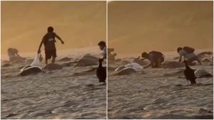 Relacionada fotojet-3.jpg