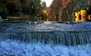 Relacionada invitacion-coyame.jpg