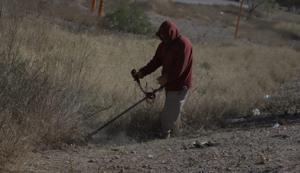 Relacionada whatsapp-image-2026-04-02-at-13115-pm.jpg