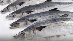 Relacionada pescado.jpg