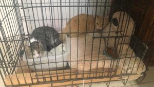 Relacionada 69ce8d8758ce3__69ce8d8758ce4.jpg