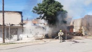 Relacionada whatsapp-image-2026-04-02-at-64125-pm.jpg