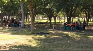 Relacionada screenshot-2026-04-02-202641-1.jpg