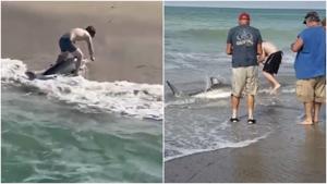 Relacionada fotojet-1.jpg