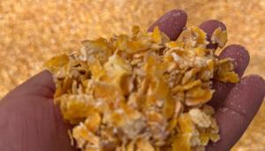 Relacionada whatsapp-image-2026-04-03-at-121805-pm.jpg