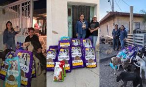 Relacionada perritos.jpg