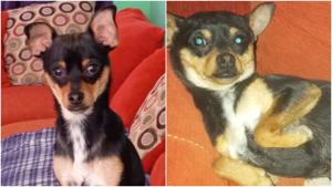 Relacionada fotojet-7.jpg