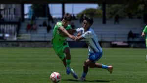 Relacionada whatsapp-image-2026-04-03-at-52829-pm.jpg