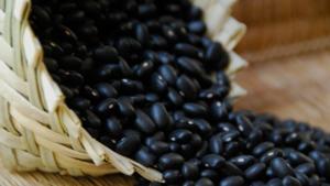 Relacionada screenshot-2026-04-03-174149-1.jpg