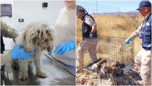 Relacionada fotojet-4.jpg