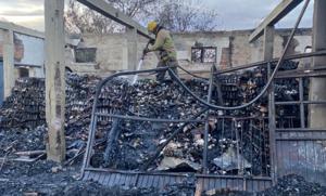 Relacionada whatsapp-image-2026-04-04-at-123250-pm.jpg