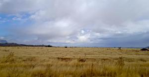 Relacionada viento5abril2025.jpg