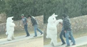 Relacionada download-2026-04-06t090319160.jpg