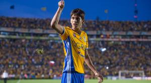 Relacionada download-2026-04-06t135052503.jpg