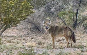 Relacionada whatsapp-image-2026-04-06-at-31134-pm.jpg