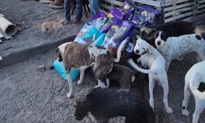 Relacionada whatsapp-image-2026-04-07-at-121325-pm.jpg