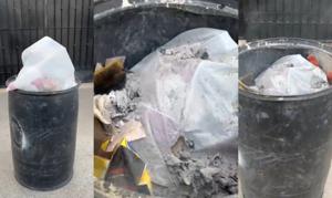 Relacionada whatsapp-image-2026-04-07-at-122909-pm.jpg