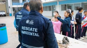 Relacionada mpio.jpg