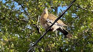 Relacionada clima8abril2026.jpg