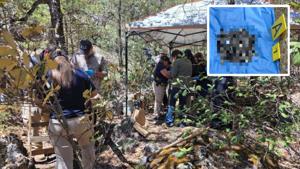 Relacionada whatsapp-image-2026-04-08-at-103557.jpg