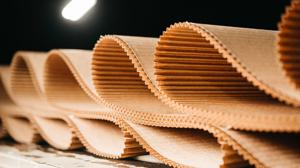 Relacionada cartoncillo.jpg