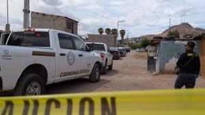 Relacionada inshot_20260408_140431857.jpg