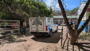 Relacionada inshot_20260409_110542407.jpg