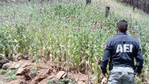 Relacionada inshot_20260409_113557191.jpg