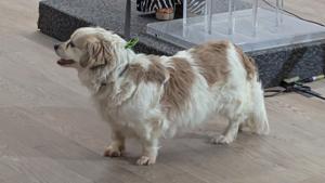 Relacionada pxl_20260409_172217772.jpg