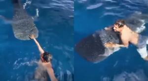 Relacionada pescador-tiburon-ballena.jpg