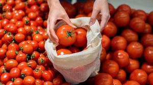 Relacionada jitomate-mexico.jpg