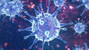 Relacionada virus.jpg